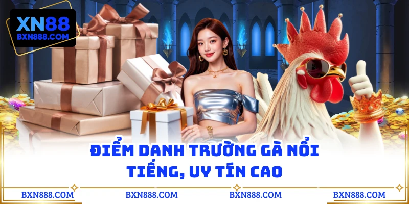 Điểm danh trường gà nổi tiếng, uy tín cao